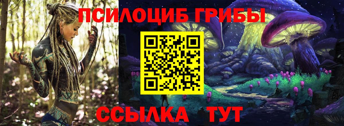Видное  Галлюциногенные грибы Magic Shrooms  Вход с VPN 
