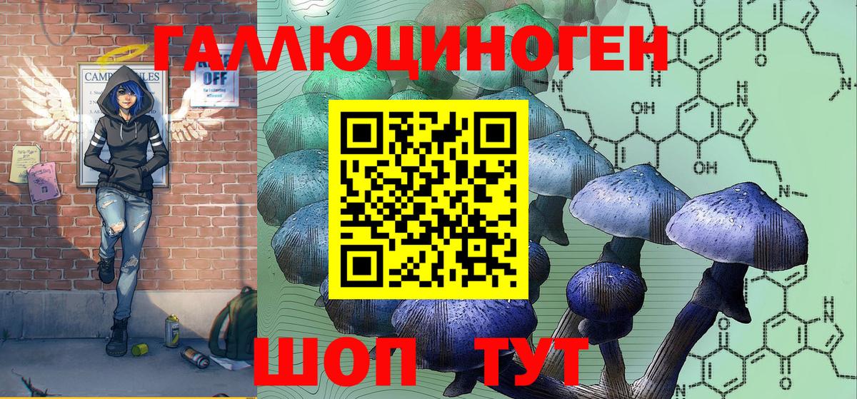 Псилоцибиновые грибы прущие грибы Видное